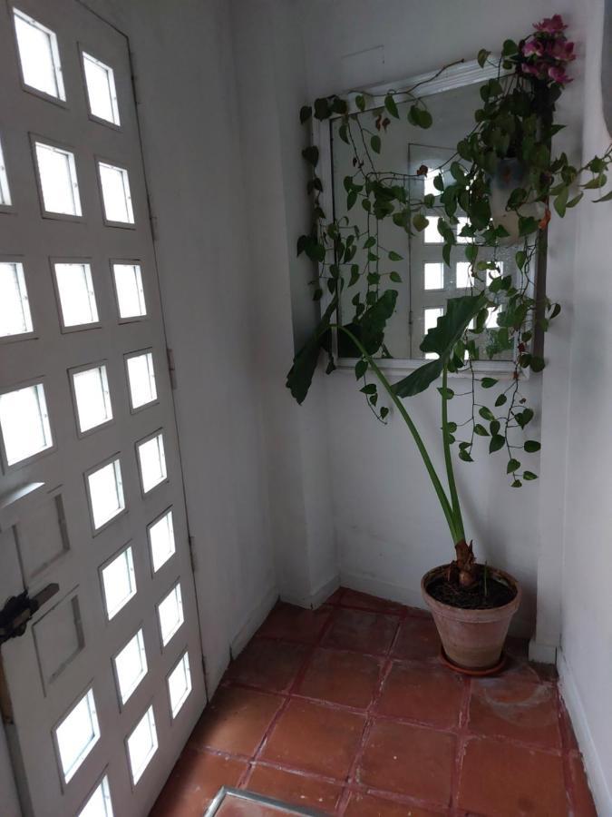 Apartamento Alameda Hércules Siviglia Esterno foto